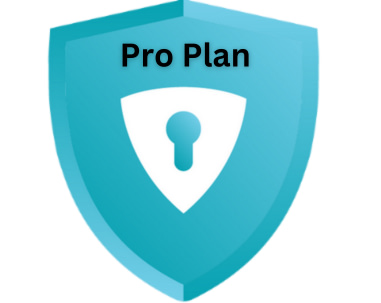 Albany Backups Pro Plan (500gb)